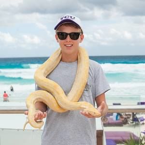 Meet your Posher, Martin